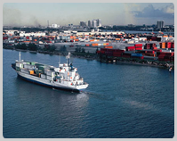Logistics Management Global Logistics Sino American Ocean Container Expert Services