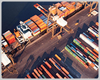 Freight Forwarder and Warehouse Logistics Shipping Logistics
